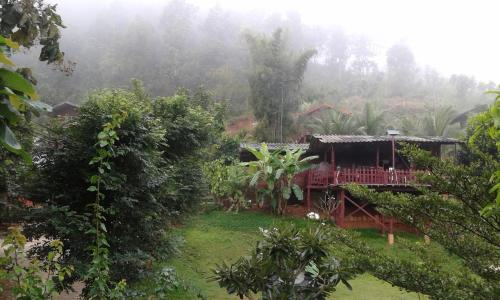 Gallery image of Forest Guesthouse in Samoeng