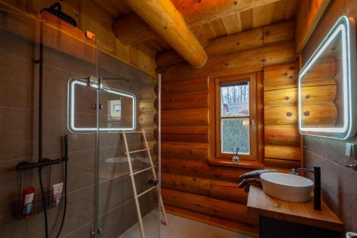 a bathroom with a shower and a sink at Srub Chodov in Chodov