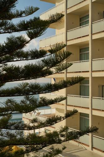 Hotel Riviera Costa del Sol - Adults Recommended photo 40