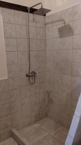 a bathroom with a shower with a tiled wall at El Nogal Viedma in Viedma