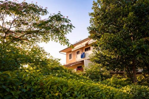 Appartements Devescovi