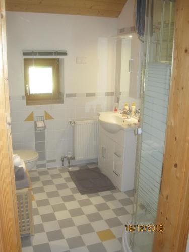 a bathroom with a sink and a toilet at Haus der Sonne in Kötschach