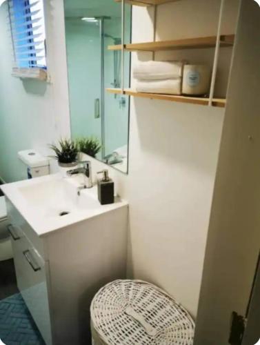 a bathroom with a sink and a toilet and a mirror at Tiki Hut in Tauranga