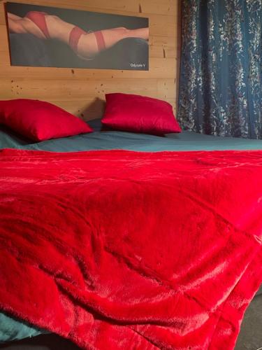 a red bed with two red pillows on it at Love Room Fire Sens in Breurey-lès-Faverney