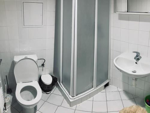 a bathroom with a shower and a toilet and a sink at Hotel Astorka in Brno