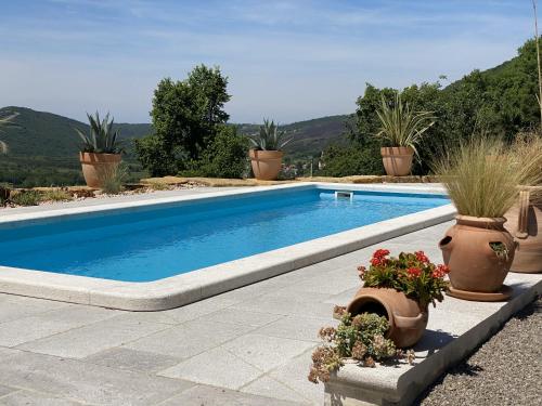 a swimming pool with potted plants next to it at Bubo House in Črni Kal