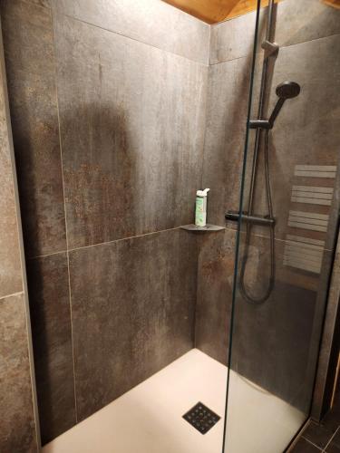 a shower with a glass door in a bathroom at Love Room Fire Sens in Breurey-lès-Faverney