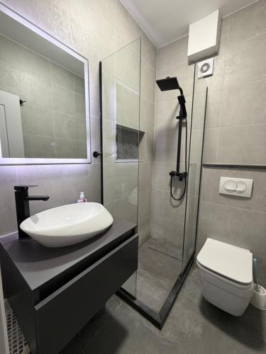 a bathroom with a sink and a shower and a toilet at Apartments Regata in Ulcinj
