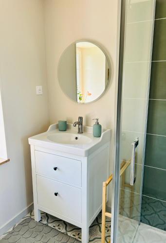 a bathroom with a sink and a mirror at La maisonnette du Morvan in Cussy-en-Morvan