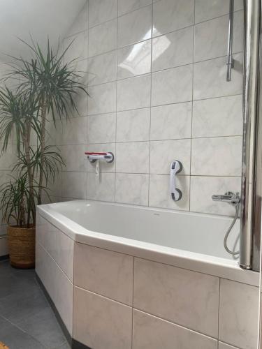 a white bath tub in a bathroom with a plant at 't Wirkes in Schimmert