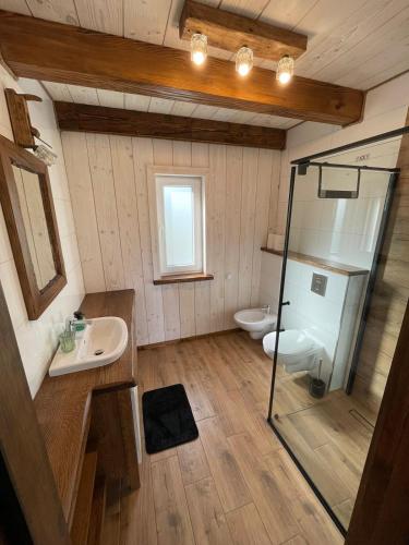 a bathroom with a sink and a toilet in it at Domki BIERWIONO in Cisna