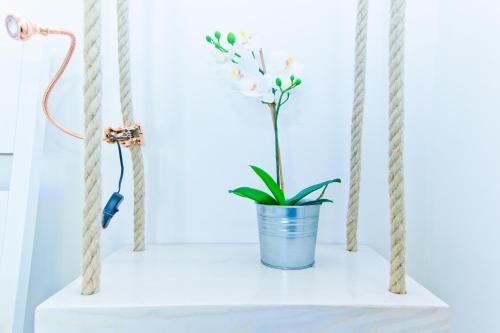 a plant in a blue bucket on a white shelf at On the beach Sea-view&Kitchen In Room in Salerno