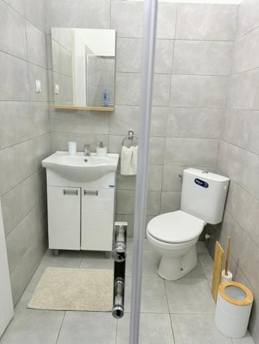 a bathroom with a toilet and a sink at Apartmani Home in Zaječar