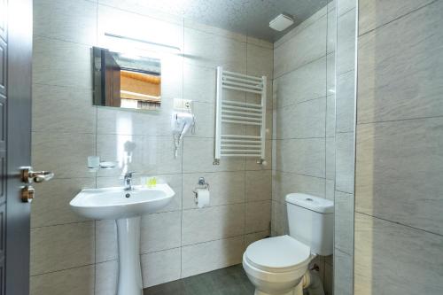 a bathroom with a toilet and a sink at Mestia HOTEL AMIRANI in Mestia