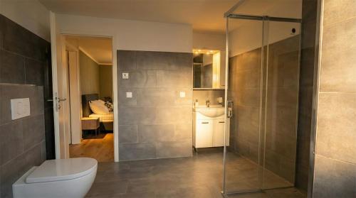 a bathroom with a shower and a toilet and a sink at GT Nord Hof in Müllenbach