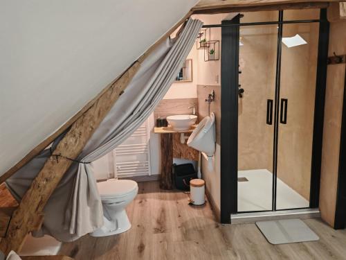 a bathroom with a shower with a toilet and a sink at Le refuge du chat endormi in Goderville