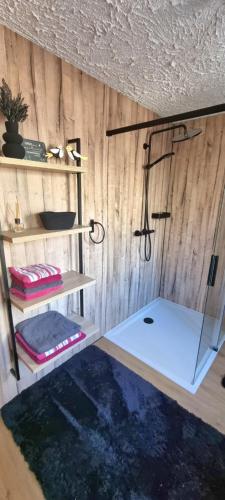 a room with wooden walls and a shower with shelves at FEWO Aschbergblick in Klingenthal