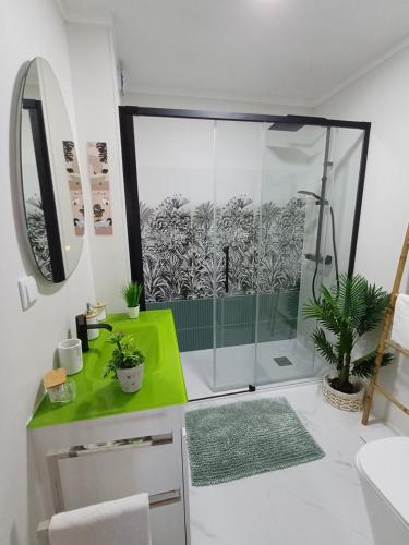 a bathroom with a shower with a green counter at Quarto Casa na Praia in Porches