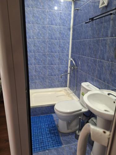 a blue tiled bathroom with a toilet and a sink at сой333 in Navoi