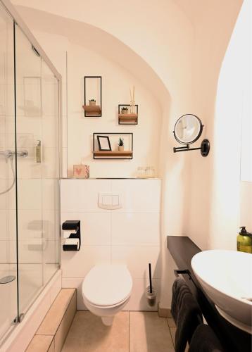 a bathroom with a toilet and a sink at Pension Donatus in Pirna