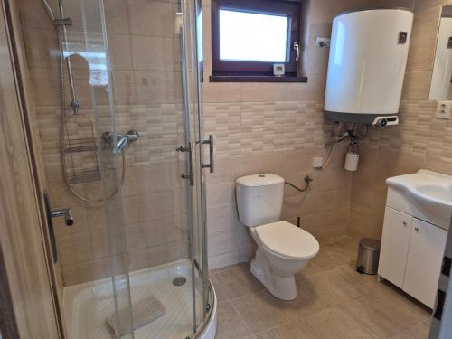 a bathroom with a toilet and a glass shower at Apartmány Mácháč in Doksy