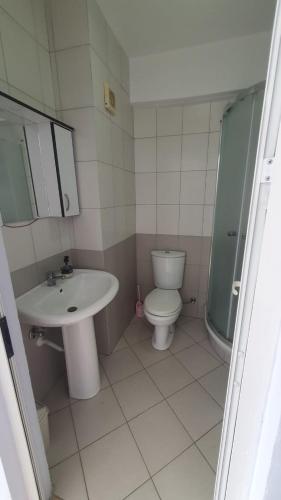 a bathroom with a sink and a toilet and a shower at Sea & Sky apartment in Skataj