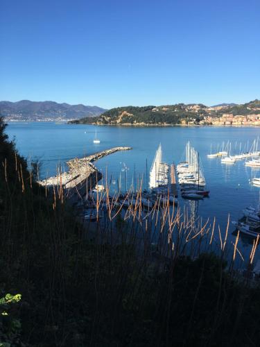 a view of a marina with boats in the water at Affittacamere La Baia Di Lerici in Lerici