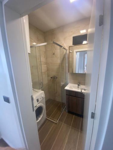 a bathroom with a washing machine and a sink at Unin Apartman, Kosmaj Renew, Rogača in Rogača
