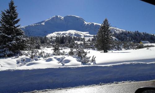 a snow covered mountain in the distance with trees and a mountain at B&B La Tana dell'Orso - Die Bärenhöhle in Castello di Fiemme