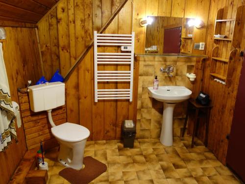 a bathroom with a toilet and a sink at Agrowczasy Góry Bystrzyckie in Bystrzyca Kłodzka