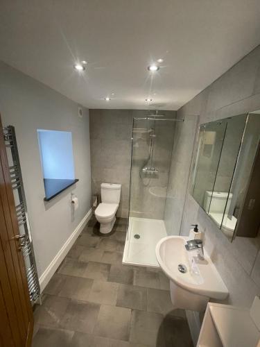 a bathroom with a toilet and a sink and a shower at Delightful detached 2 bedroom cottage in Grantley
