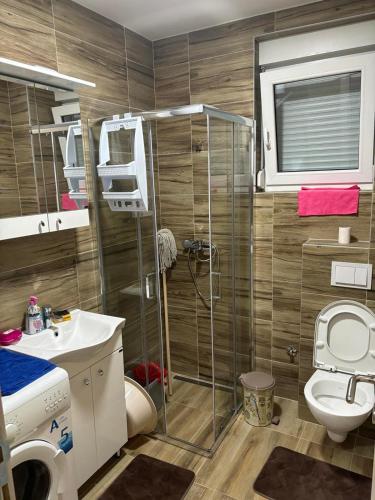 a bathroom with a shower and a toilet and a sink at Apartman Davidovic in Divčibare