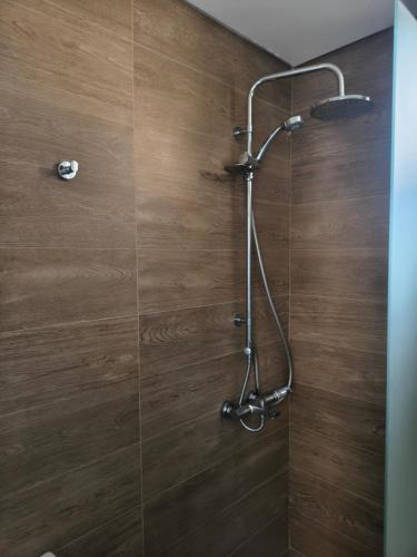 a shower in a bathroom with a wooden wall at A Estrenar Estudio las Cañitas in Buenos Aires