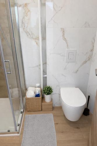 a white bathroom with a toilet and a shower at Ekoviki2 in Kranj