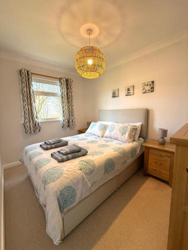a bedroom with a bed and a chandelier at 51 Norton Park in Dartmouth