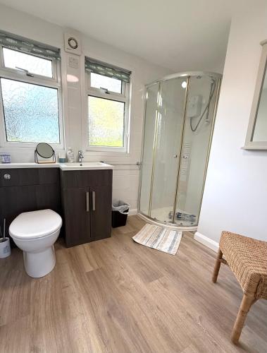 a bathroom with a shower and a toilet and a sink at 51 Norton Park in Dartmouth