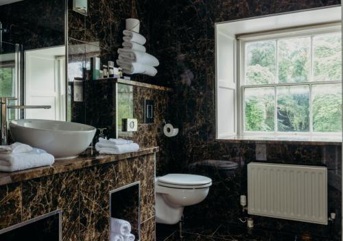 a bathroom with a sink and a toilet and a window at Maryborough Hotel & Spa in Cork