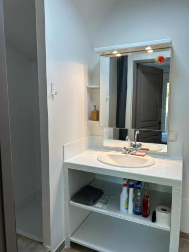 a bathroom with a sink and a mirror at La Marie Blanche in Saint-Zacharie