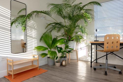 an office with a desk and a chair and plants at Casa MIA central location, free parking, fully equipped in Miami