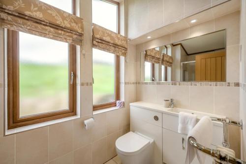 a bathroom with a toilet and a sink and a mirror at 3 Bed in Whitby oc-wa057 in Runswick