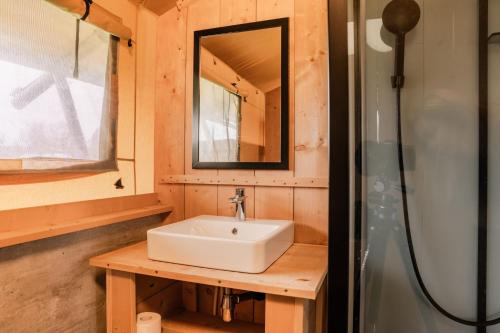 a bathroom with a sink and a mirror at Vakantiepark Eigen Wijze in Bant