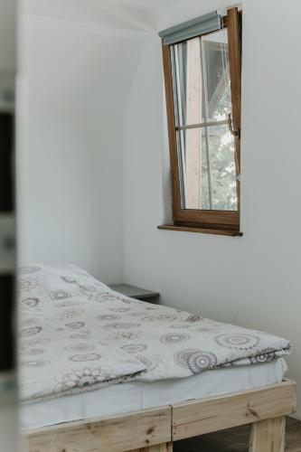 a bed in a room with a window at Schronisko PTTK Pod Muflonem in Duszniki Zdrój