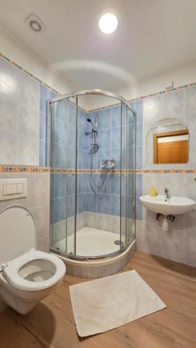 a bathroom with a shower and a toilet and a sink at Apartmán Kragujevská in Žilina