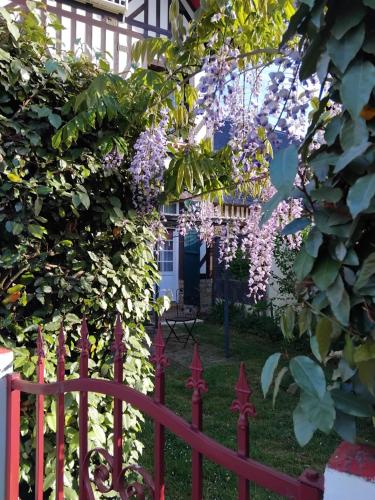 Le vieux pré de la motte