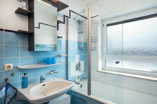 a bathroom with a sink and a glass shower at Adlerhorst in Wangen