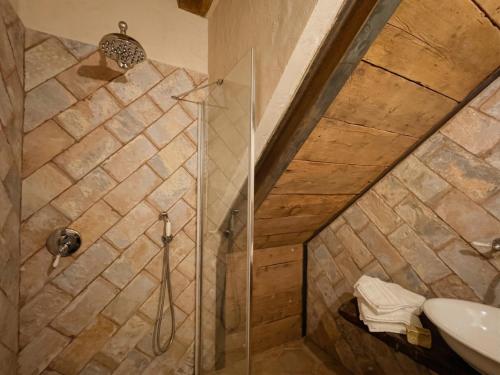 a bathroom with a shower and a sink at La chesa de Prit in Verucchio