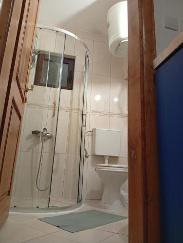 a bathroom with a shower and a toilet at Kolovic Susanj in Bar