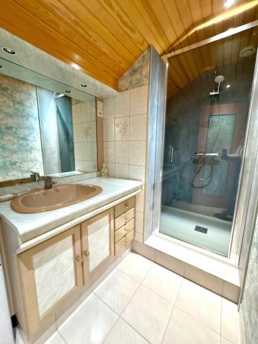 a bathroom with a sink and a shower at La Fermette du Patural in Ramonchamp