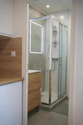 a bathroom with a shower with a glass door at Olivia in Argenteuil