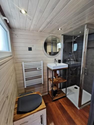 a small bathroom with a sink and a mirror at La Tiny des Prés in LʼAbsie